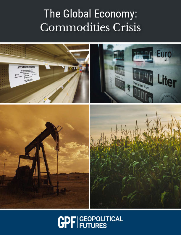 The Global Economy: Commodities Crisis